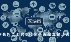 TP钱包不支持BSC链的原因及