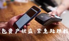 如何应对TP钱包资产被盗：