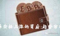 TP钱包空投币价格上涨的背后：趋势分析与投资技